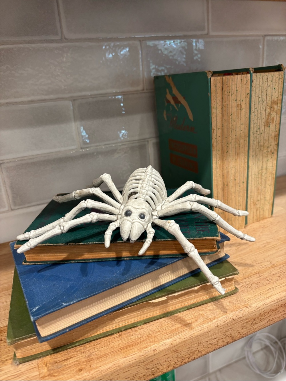 White Skeletal Spider Decor Halloween